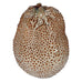 Glazed Textured Durian Vase 23cm C