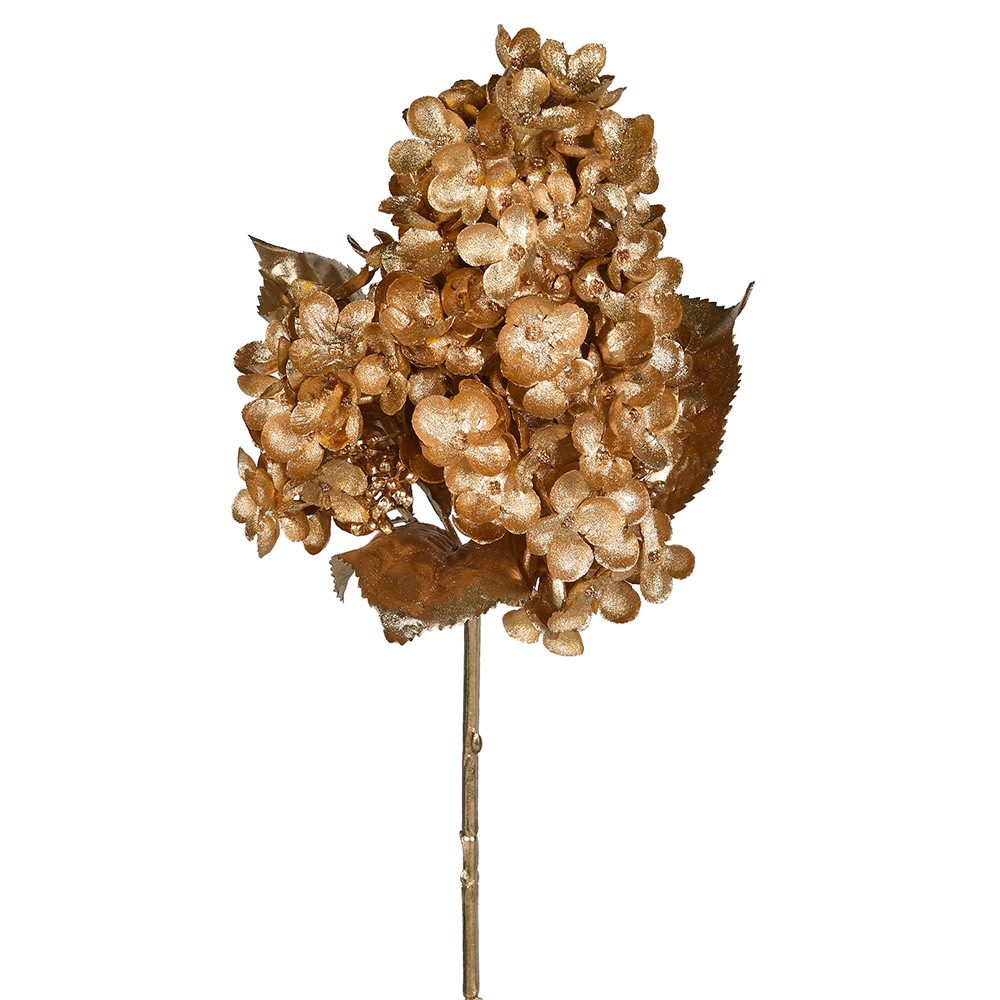 Gold Cone Hydrangea Stem 70cm | Annie Mo's