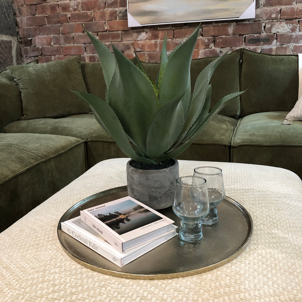 Green Aloe Vera Plant in Clay Pot 47cm D