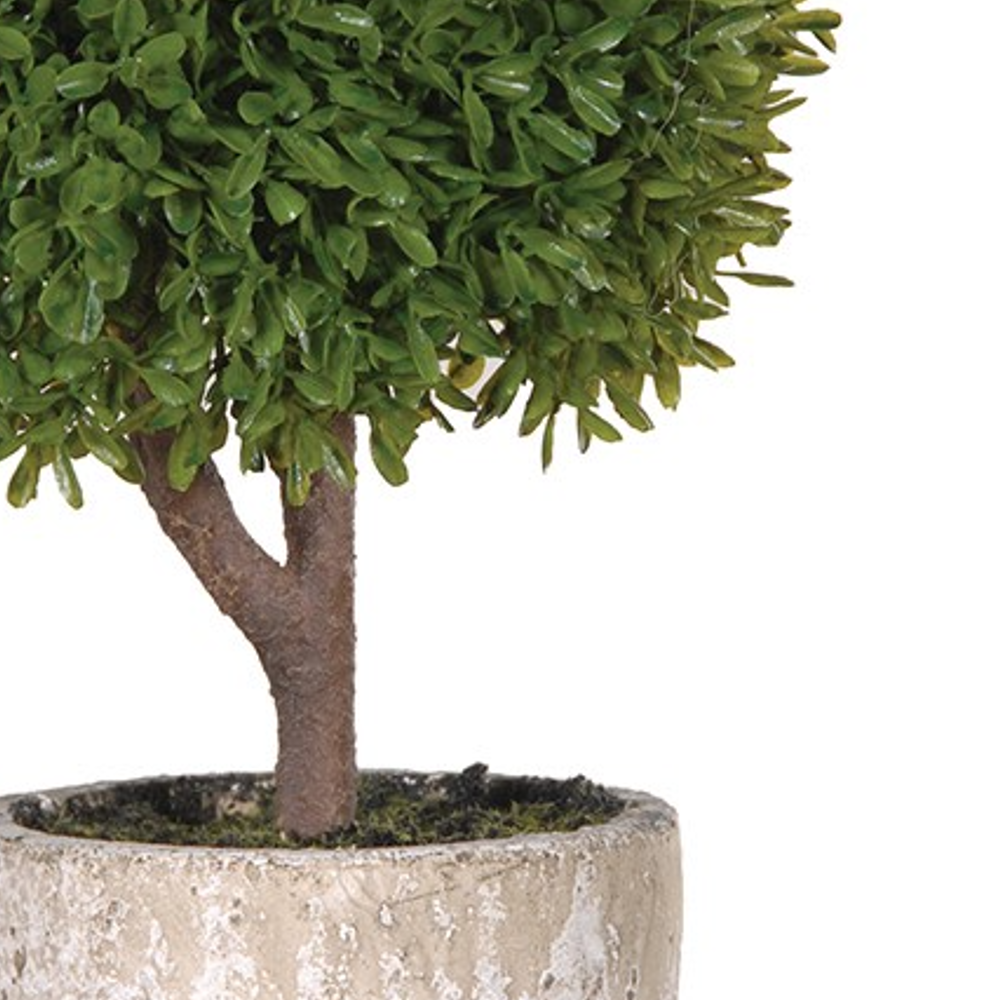 Green Miniature Boxwood Ball in Stone-Look Pot 38cm D