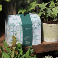 Greenhouse Gift Set