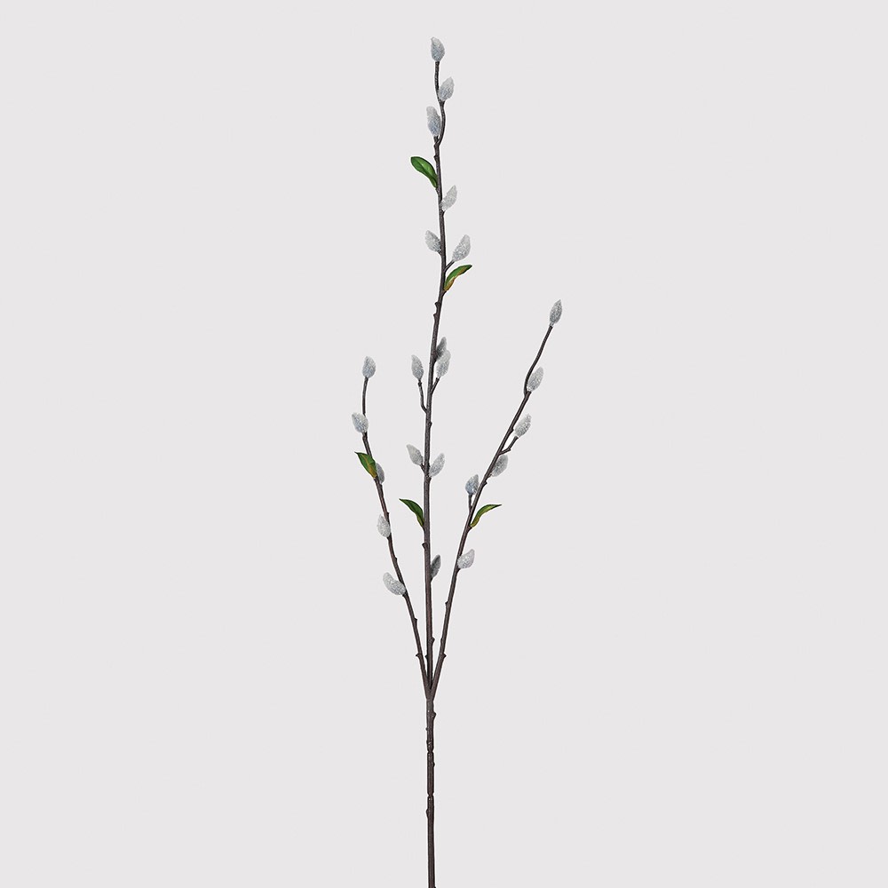 Grey Pussy Willow Spray with Leaves-2