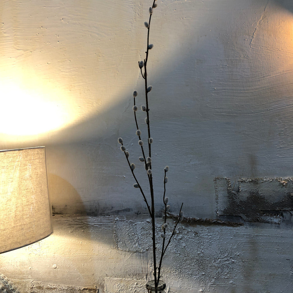 Grey Pussy Willow Spray with Leaves 88cm B