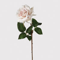 Latte Real Feel Rose with Leaves 50cm | Annie Mo's