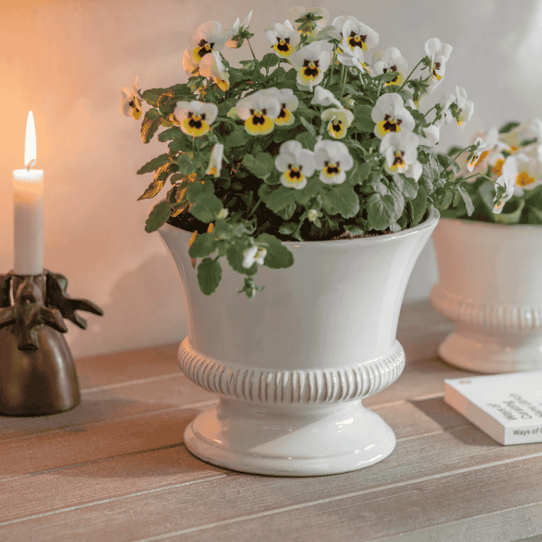 Hinton Planter - Size Choice | Annie Mo's