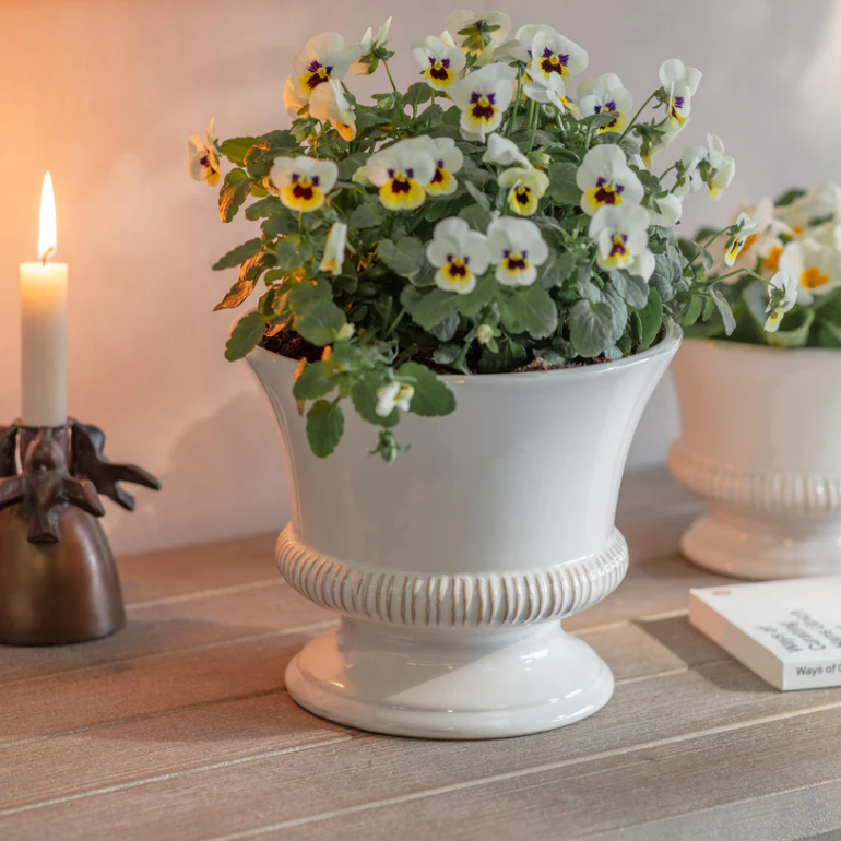 Hinton Planter - Size Choice | Annie Mo's