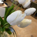 Set of Three Long Stem White Faux Tulips 65cm