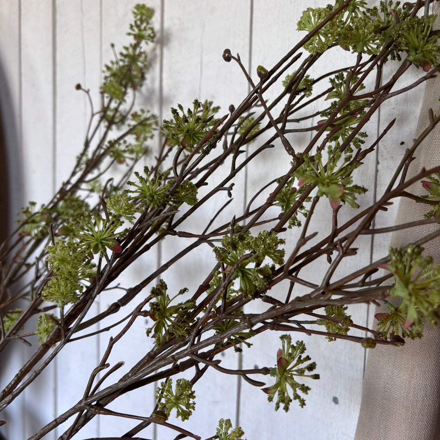 Brown Dogwood Stem 140cm