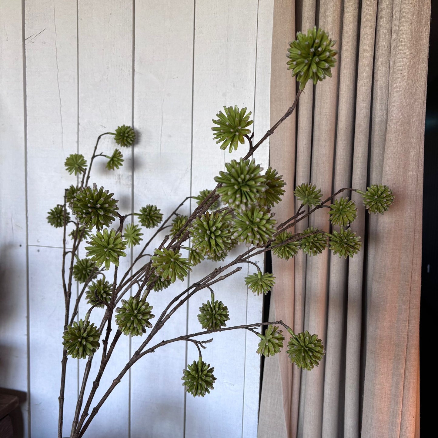 Green Camptotheca Stem-3