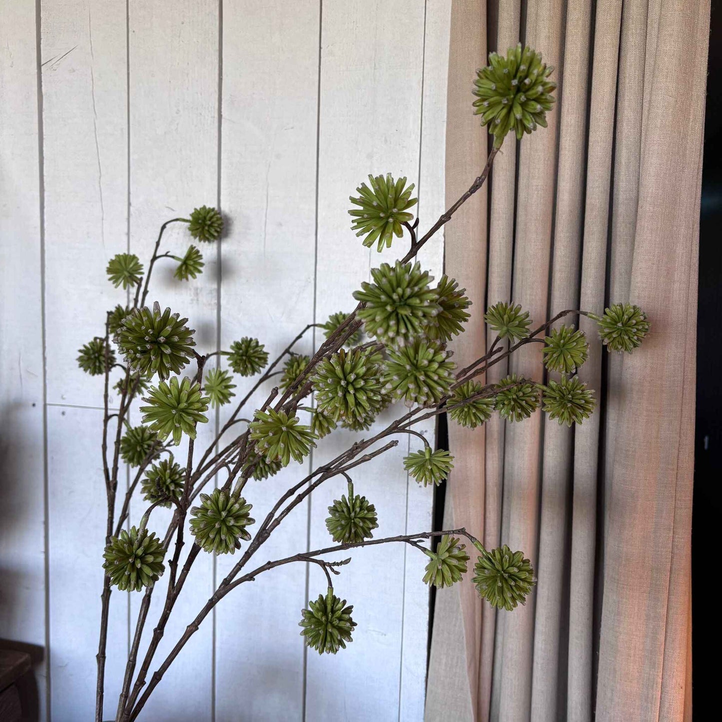Green Camptotheca Stem-3