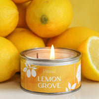 Lemon Grove Paint Pot Scented Candle | Annie Mo's