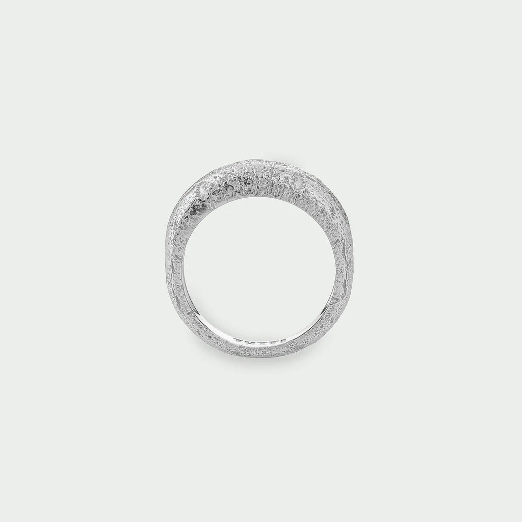 Journey Ring Silver | Annie Mo's D