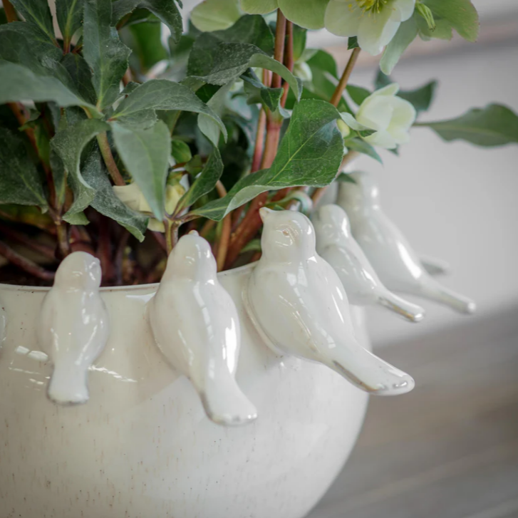 Kersey Bird Planter 44cm B | Annie Mo's