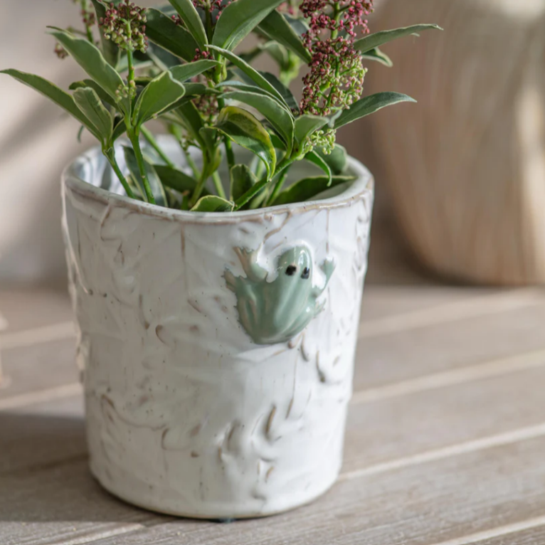 Kersey Frog Planter 13cm B | Annie Mo's