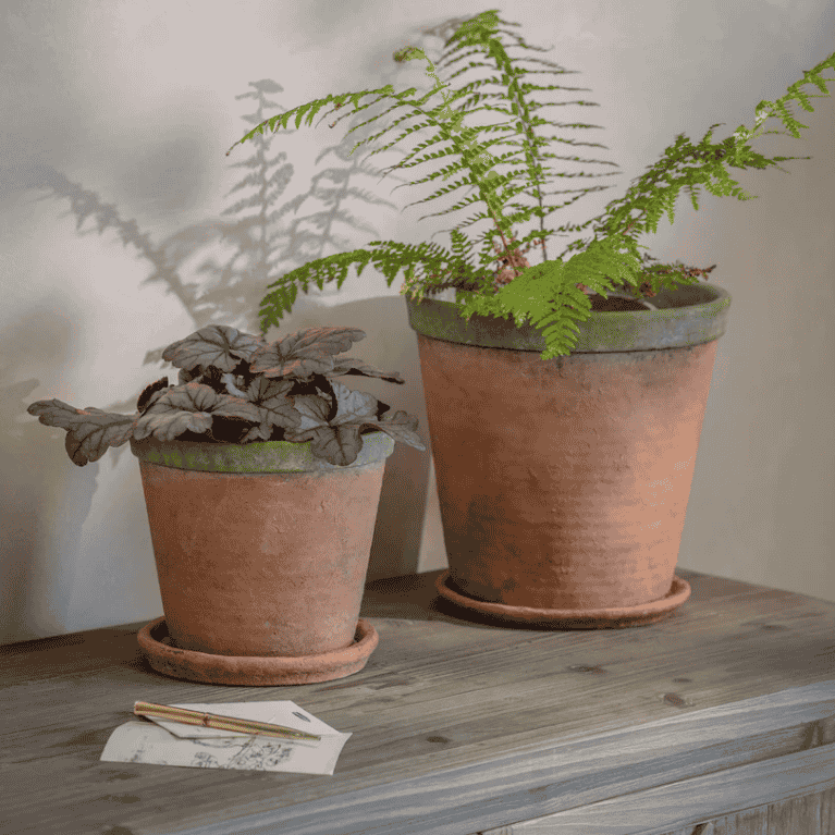 Kingsley Planter - Size Choice | Annie Mo's C