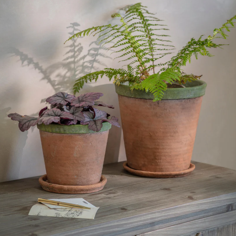 Kingsley Planter - Size Choice | Annie Mo's C