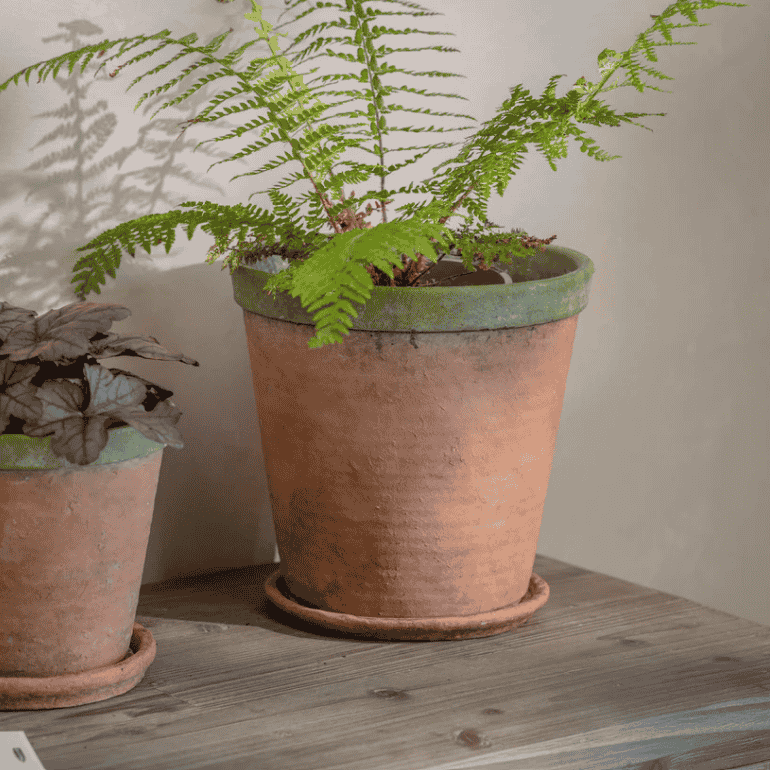 Kingsley Planter - Size Choice | Annie Mo's Large