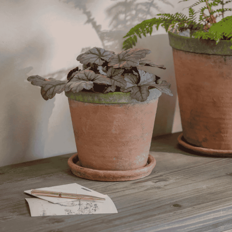 Kingsley Planter - Size Choice | Annie Mo's