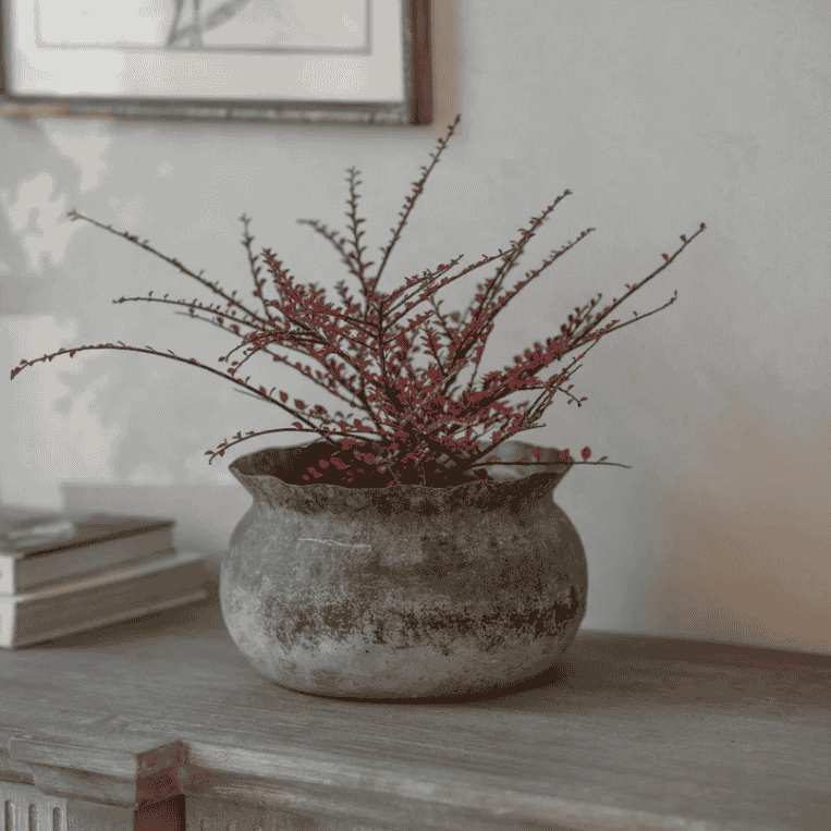 Kirdford Bowl Planter 29cm | Annie Mo's