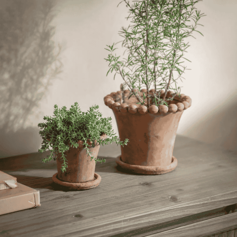 Layton Planter - Size Choice | Annie Mo's