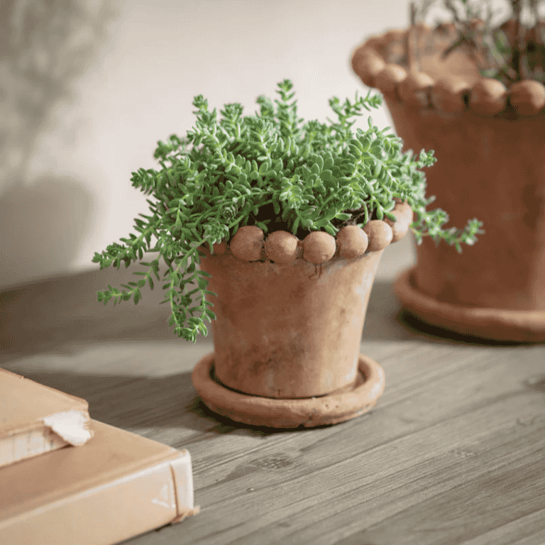 Layton Planter - S | Annie Mo's