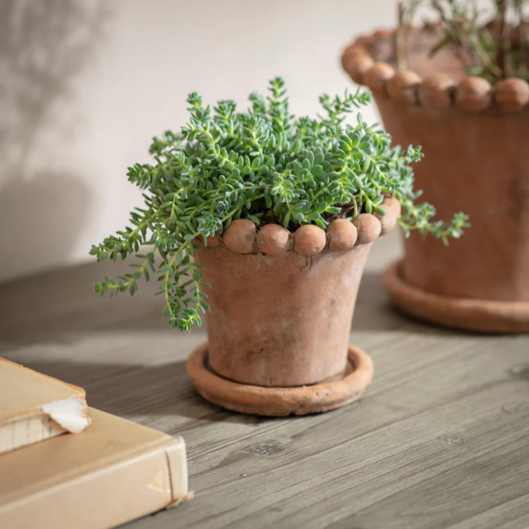 Layton Planter - S | Annie Mo's