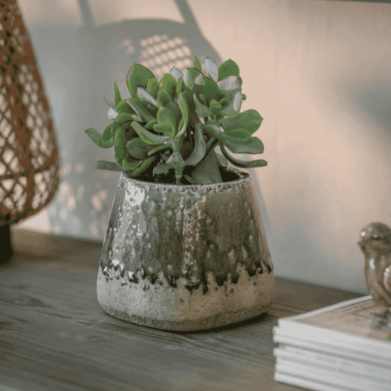 Lodsworth Tapered Pot | Annie Mo's