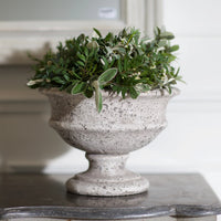 Birkdale Small Stone Urn Shaped Planter 22cm | Annie Mo's