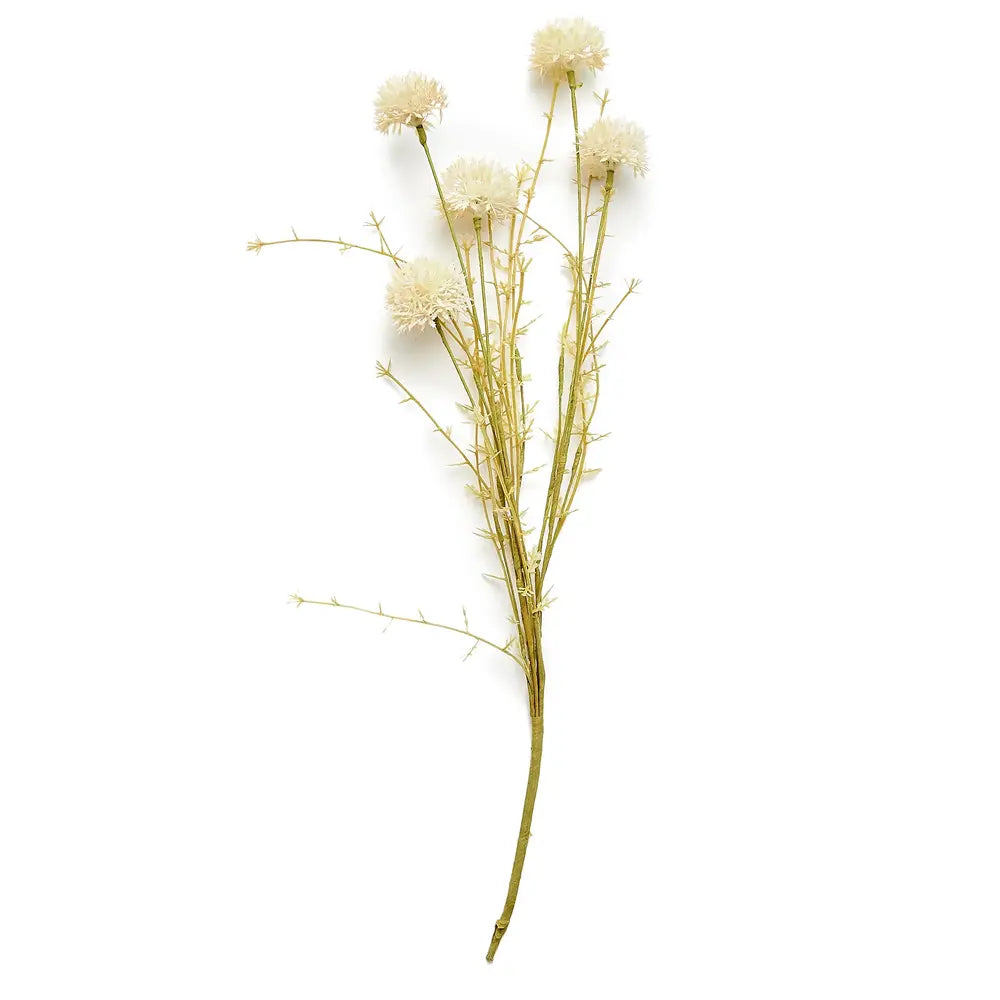 Cream Melaleuca Stem 52cm