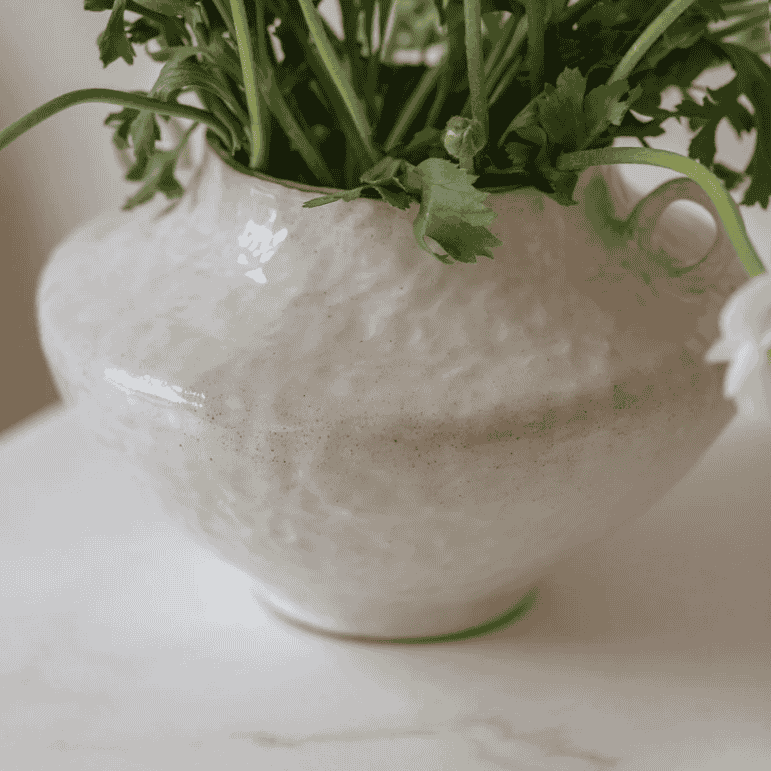 Menerbes Handled Planter 24cm B | Annie Mo's
