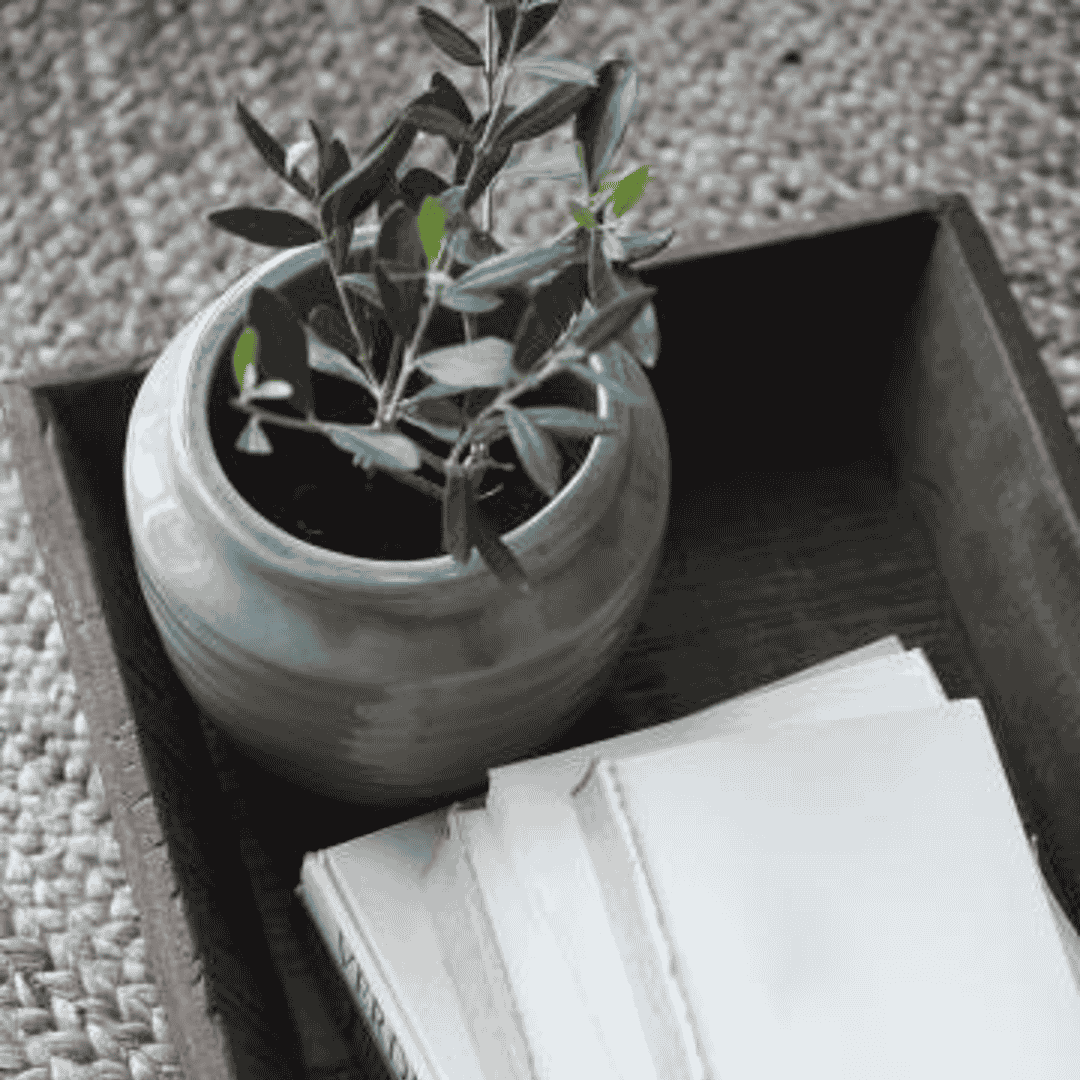 Mirage Green Crackled Surface Planters