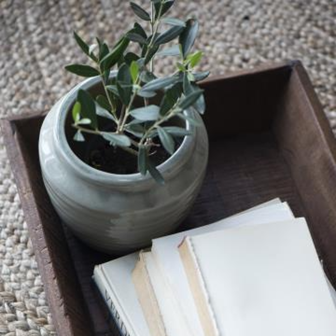 Mirage Green Crackled Surface Planters