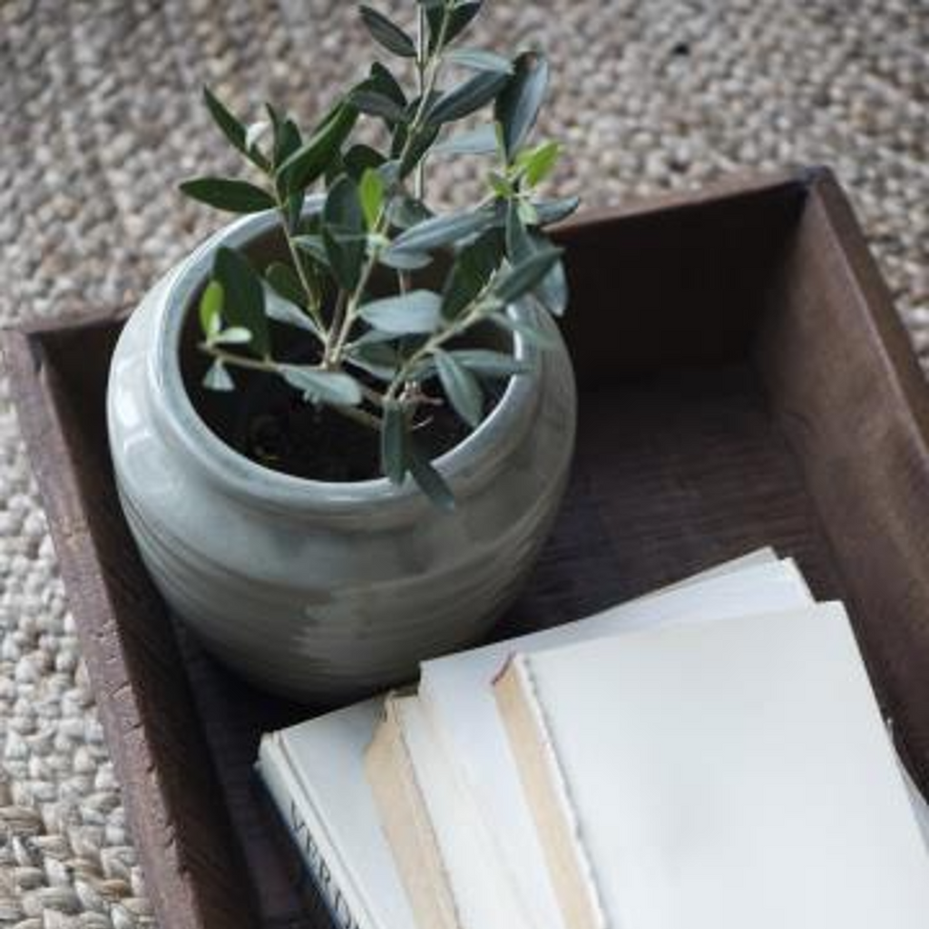 Mirage Green Crackled Surface Planters