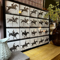 Monochrome Vintage Horse Jumping Cinematograph 103cm