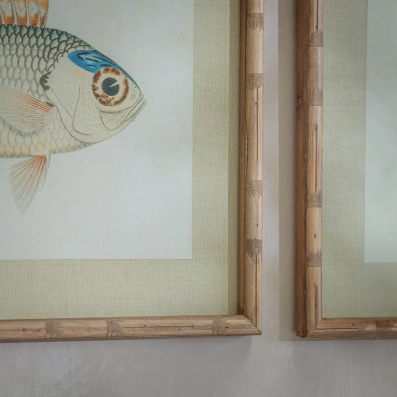 Moreton Set of Two Fish Framed Prints 60cm Wide Each B | Annie Mo's