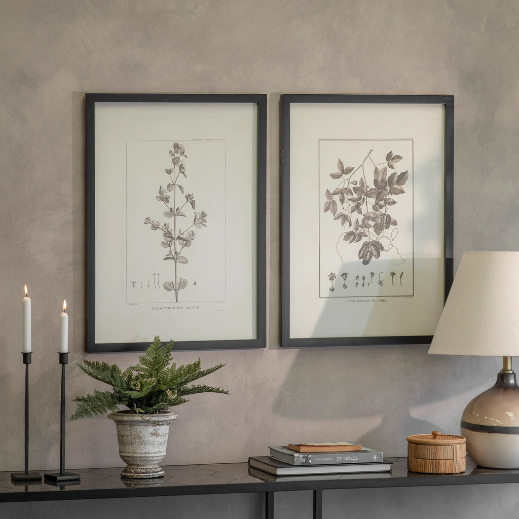 Ashmore Set of Two Rufum and Chilli Framed Prints 73.5cm | Annie Mo's