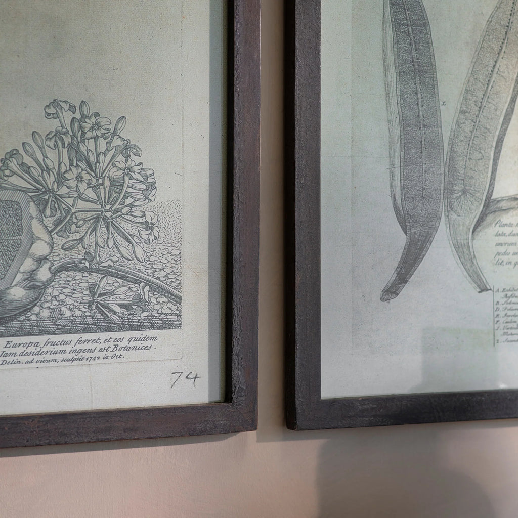 Ormington Set of Two Papaya Framed Prints 105cm