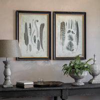 Moreton Set of Two Feather Framed Prints 57cm | Annie Mo's