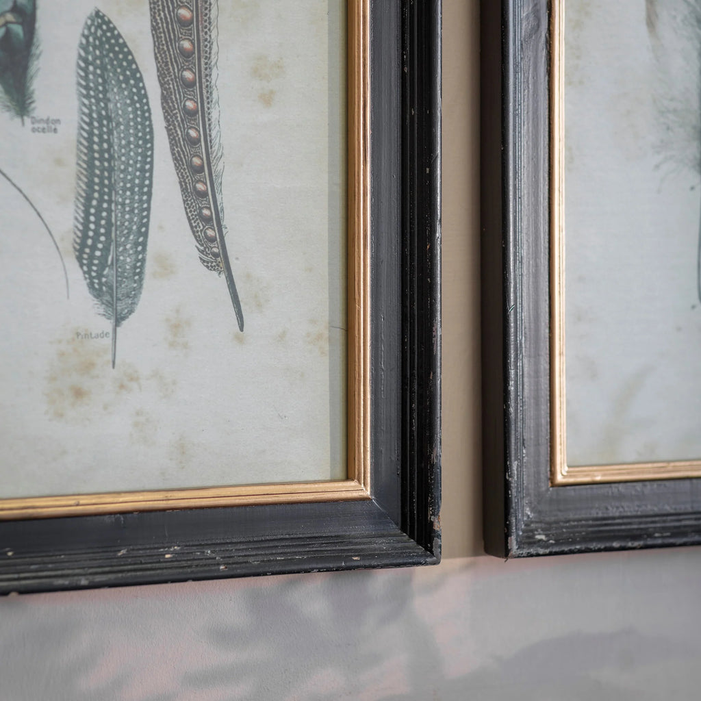 Moreton Set of Two Feather Framed Prints 57cm