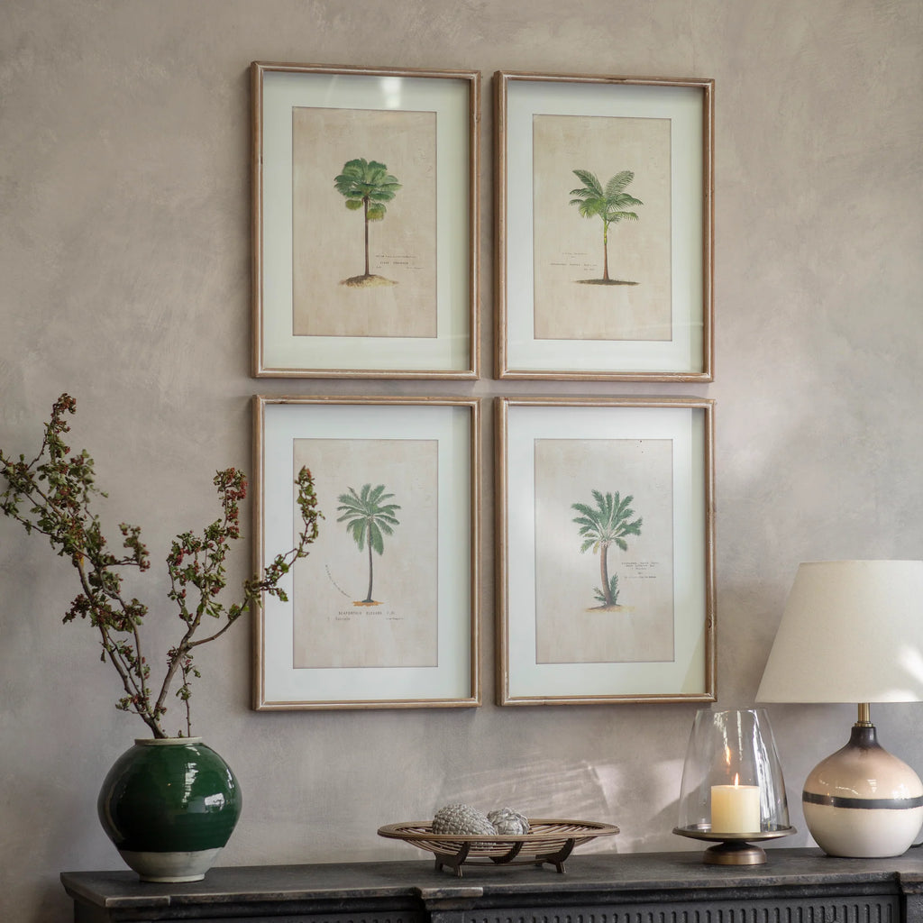 Ashmore Set of 4 Tropical Framed Prints 64.5cm | Annie Mo's