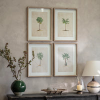Ashmore Set of 4 Tropical Framed Prints 64.5cm | Annie Mo's