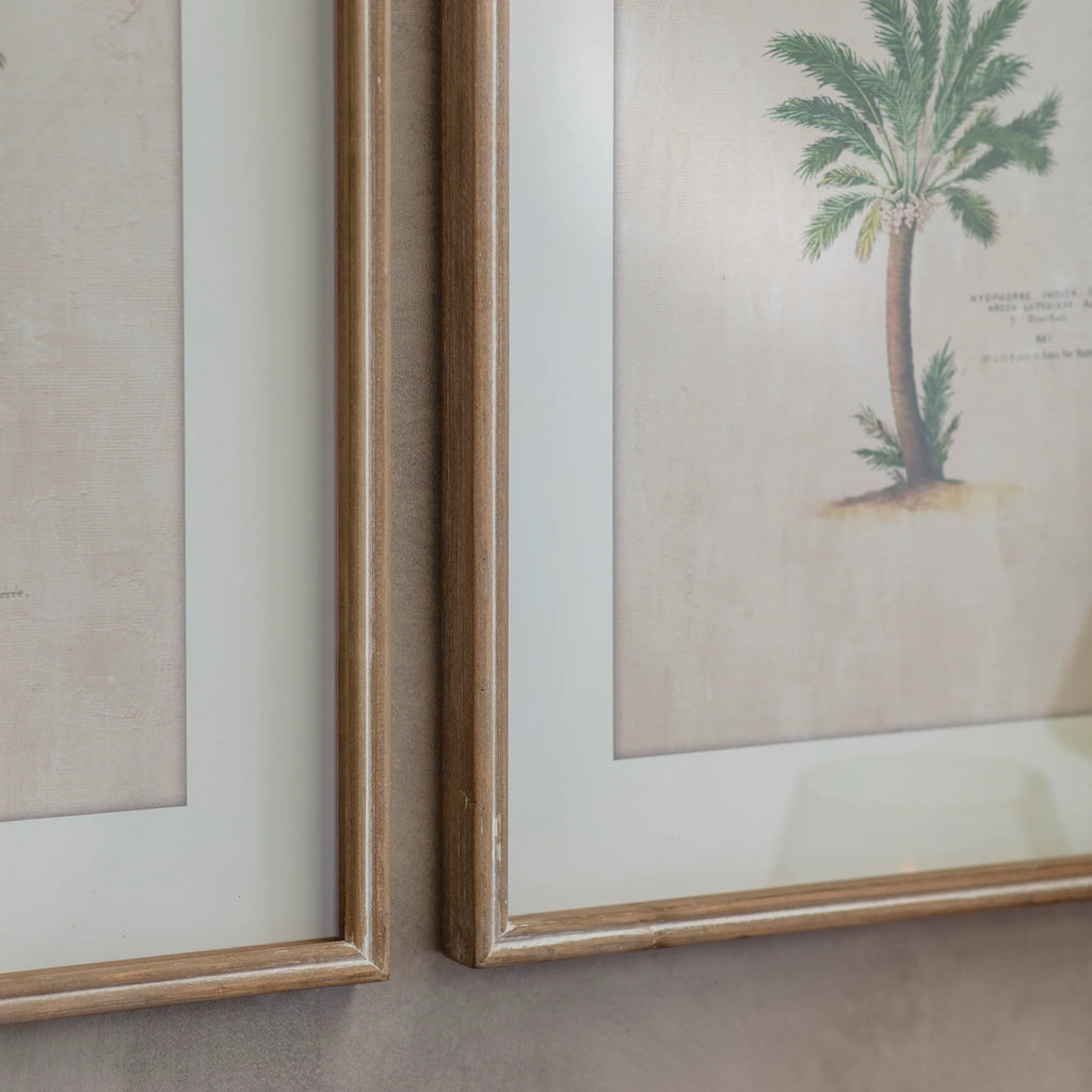 Ashmore Set of 4 Tropical Framed Prints 64.5cm
