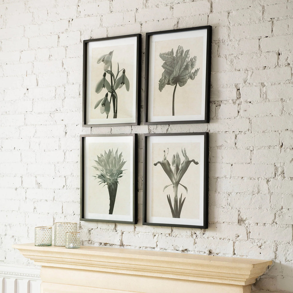 Set of Four Framed Floral Monochrome Prints 50cm Set B