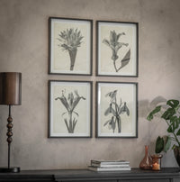 Ormington Set of 4 Flowering Bulb Framed Prints | Annie Mo's