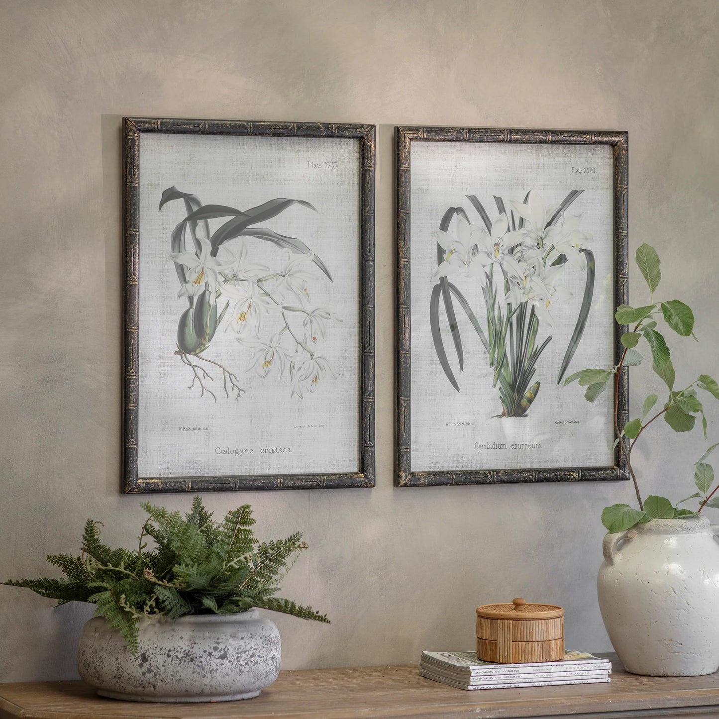 Ashmore Set of 2 White Orchid Framed Prints 70cm | Annie Mo's