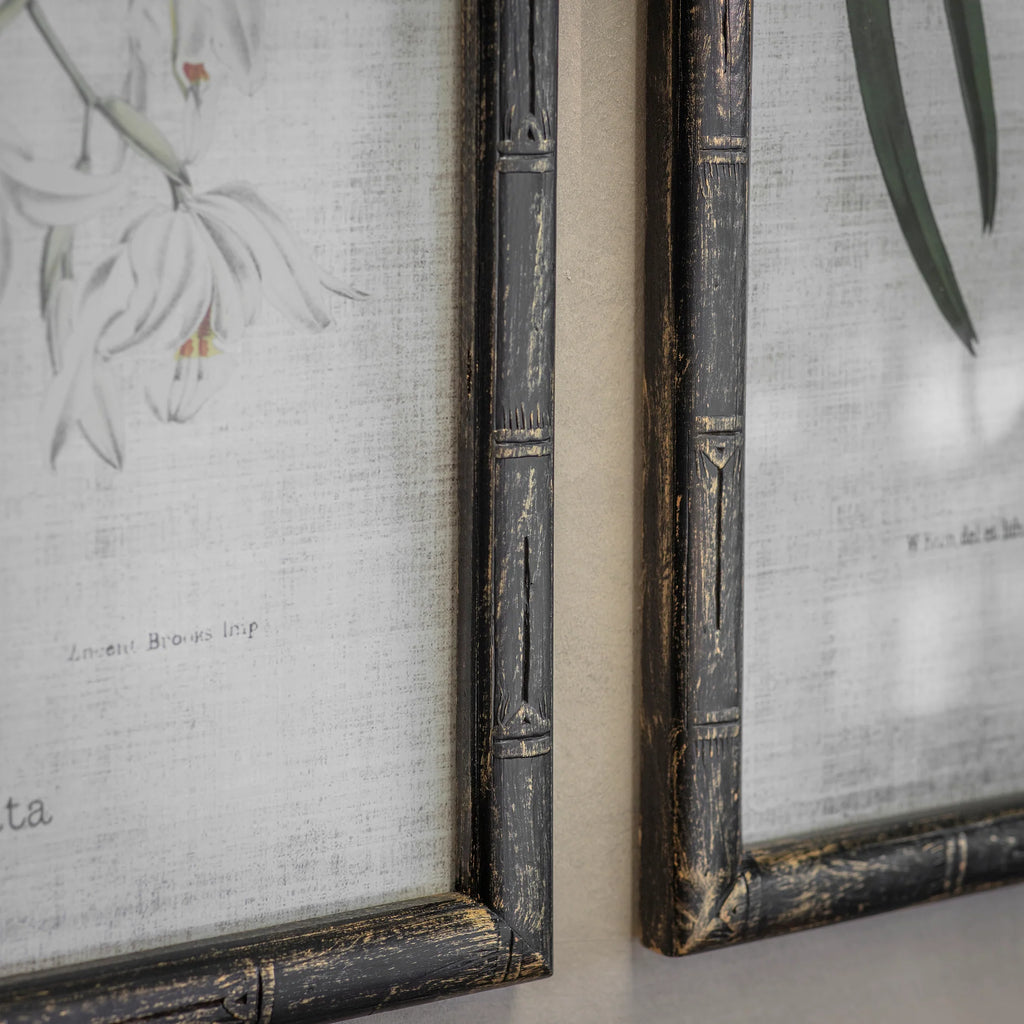 Ashmore Set of 2 White Orchid Framed Prints 70cm