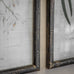 Ashmore Set of 2 White Orchid Framed Prints 70cm