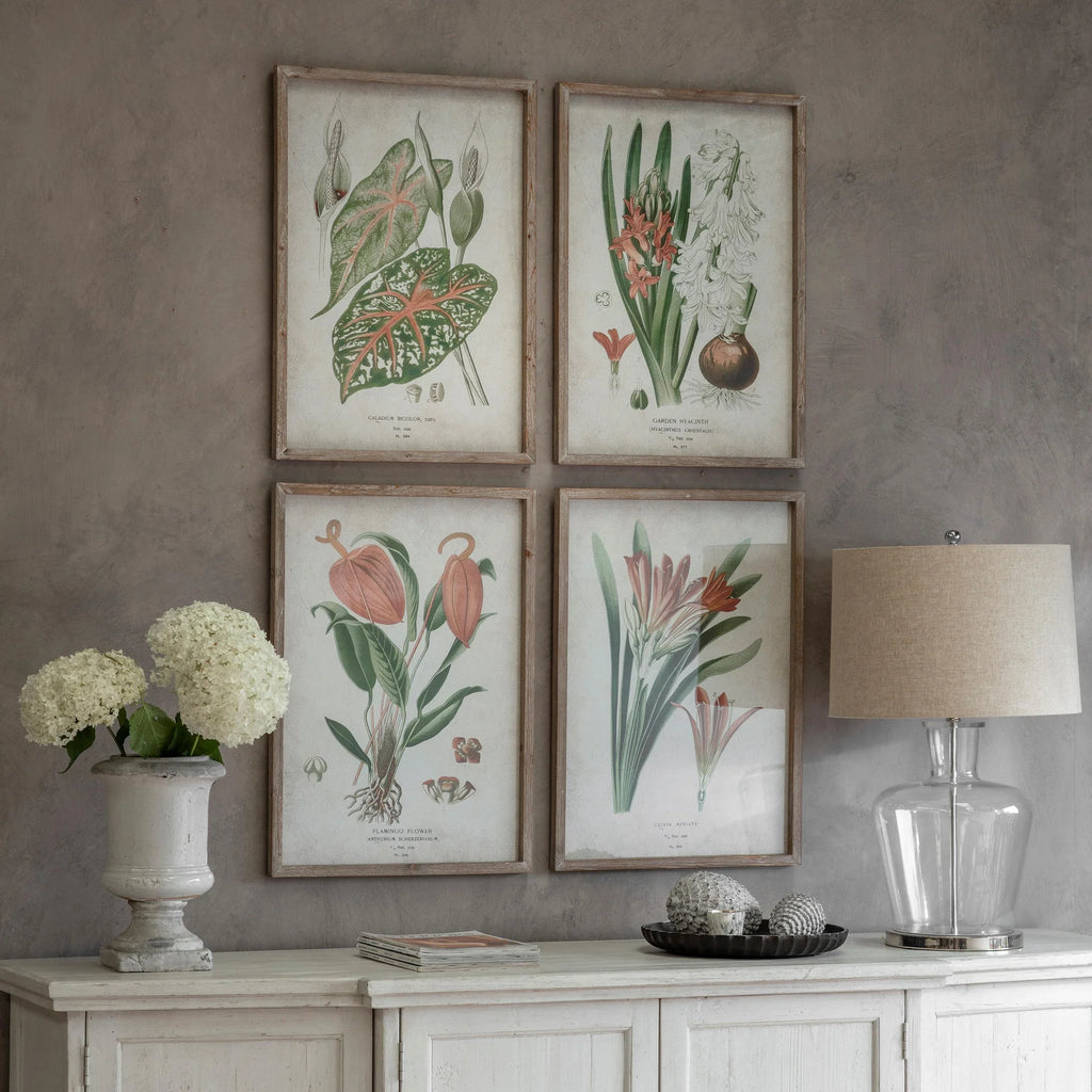 Ormington Set of Four Botanical Framed Prints 70cm | Annie Mo's