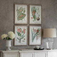 Ormington Set of Four Botanical Framed Prints 70cm | Annie Mo's