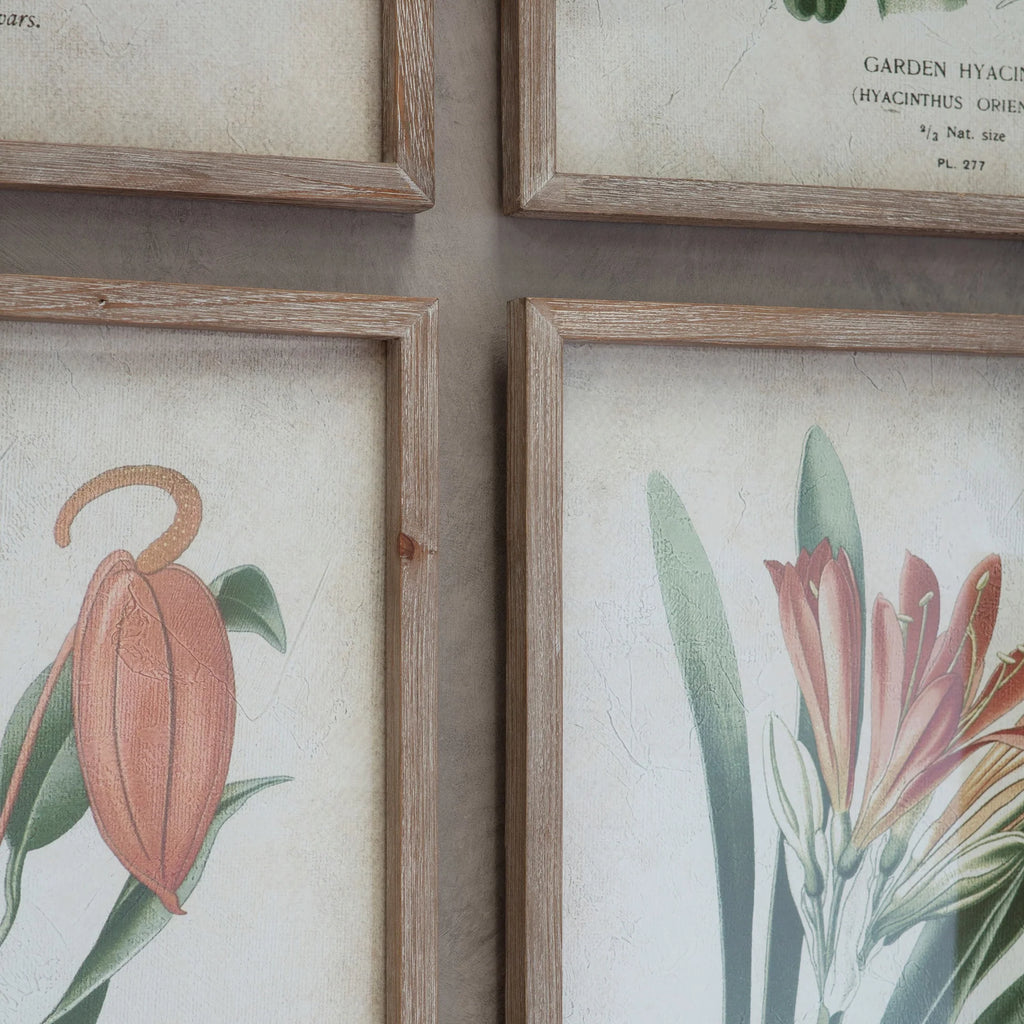 Ormington Set of Four Botanical Framed Prints 70cm